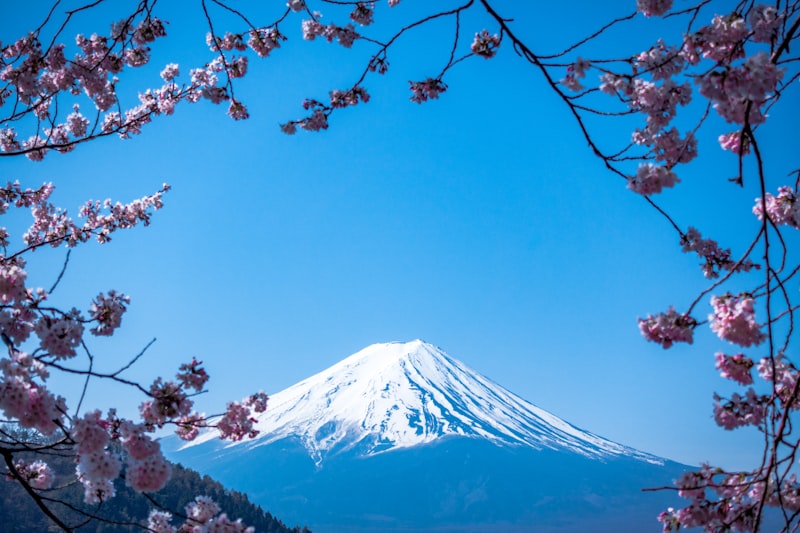 山梨から望む桜と富士山